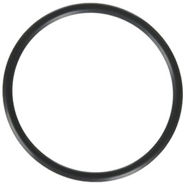 Hayward SPX1495Z1 Union O-ring