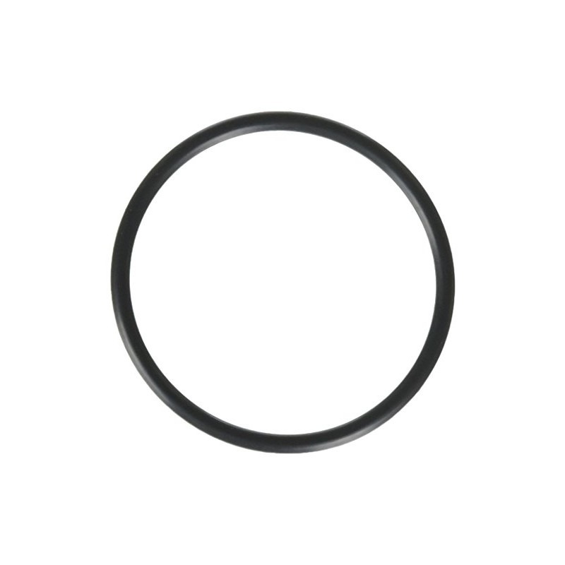 Hayward SPX1495Z1 Union O-ring