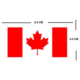 TENNER.LONDON Set of 5 Canadian Flag Iron on Screen Print Fabric Applique Machine Washable Transfer Canada