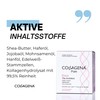 Collagena Pure The Architect Filler Nachtcreme – Intensive Reparatur- und