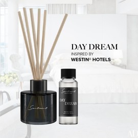 Scentiment Day Dream Reed Diffuser - Black Glass | 100ml | Long-Lasting Home Fragrance | Includes Reed Sticks & 120ml Day Dream Reed Diffuser Oil