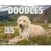 2026 Doodles Wall Calendar 16-Month X-Large Size 14x22, Goldendoodle, Labradoodle