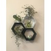 Unbranded Hexagon Shelf - 1 pc Black
