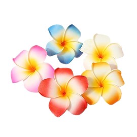 10 Pcs Multicolor 7cm Hawaii Plumeria Flower Clips Hawaiian Hair Barrettes Beach Party Hair Clips Artificial Tropical Flower Hairpins for Wedding