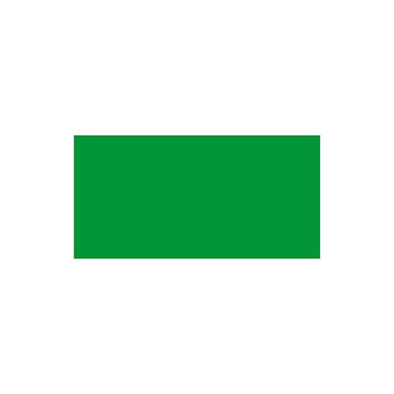 Caran d'Ache : Pablo Coloured Pencil : Grass Green 220