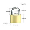 Solid Brass Padlock keyed Different Locks of 6 Pack, Solid