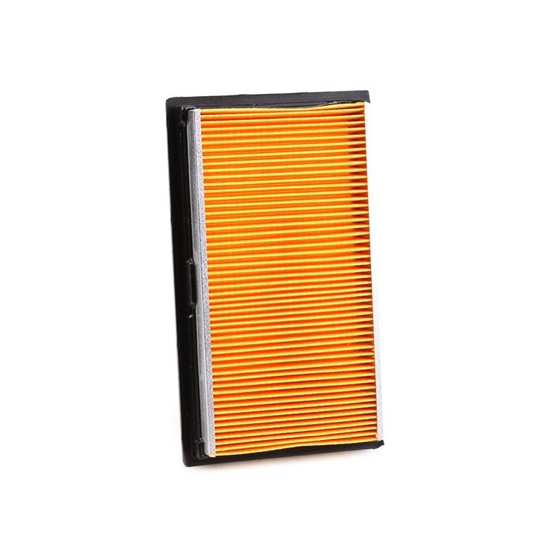 Ashika 20-01-134 Air Filter