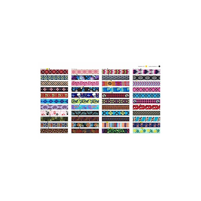 RC Pets 1" Martingale Training Collar, Medium, Pineapple Parade