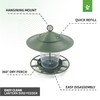 etree Easy Clean Hanging Lantern Bird Feeder (2023 Design) -