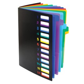Better Office Products - Carpeta expandible de 24 bolsillos transparentes con 12 pestañas de colores, tamaño carta, capacidad para 300 hojas, organizador de archivos de proyecto, índice numerado en la