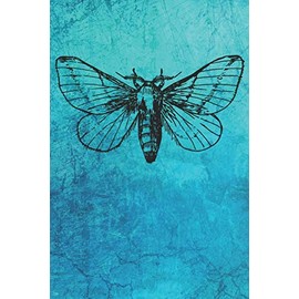 Vintage Moth Journal