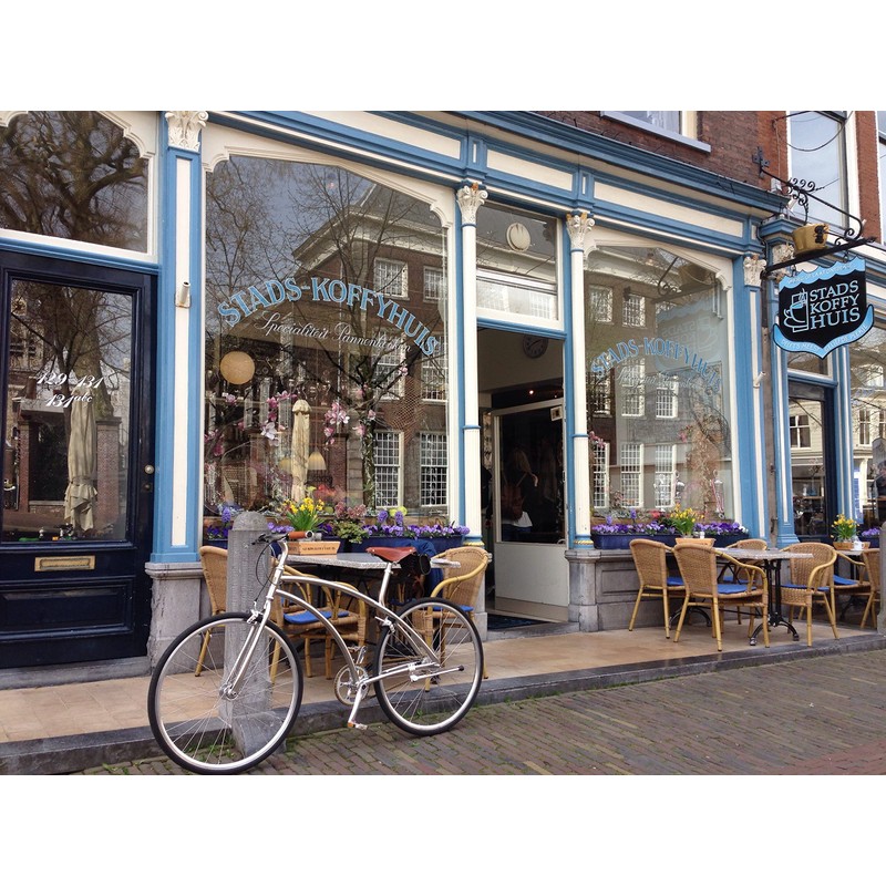 Panaracer RiBMo 700 x 25C Folding Tire