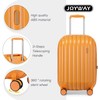 Joyway Luggage Set 2 Piece Suitcase Sets with Spinner Wheel,Hardside