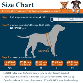 VIVAGLORY Lightweight Dog Life Jacket, Pet Life Preserver Life Vest Skin-Friendly Neoprene for Puppy Small Dogs with D-ring and Quick Release Buckle, Blue