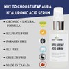 Leaf Aura Hyaluronic Acid Serum, Hydrates + Plumps Skin, Made