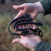 Camo Pace Count Beads - Military & Army Ranger Navigation