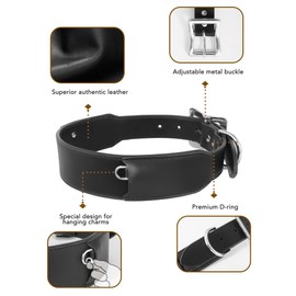 Leather Dog Collar with AirTag Holder, Cool Collars with 3 Changeable Charms: Silk Scarf, Glow Beads, Camphor Wood Beads (pet flea and tick Prevention), Pet Collars for Female/Male, Large/Medium Dog