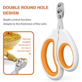 Bearded Dragon Professional Clippers - Depth-Limited Dual Holes, Angled Groove & Non-Slip Handle for Safe Trimming (White)