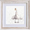 Wrendale Designs "Swan Fine Day Framed Picture Distressed White