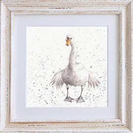 Wrendale Designs "Swan Fine Day Framed Picture Distressed White