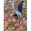 Kleeblatt GbR - Secateurs up to 60% energy saving pruning