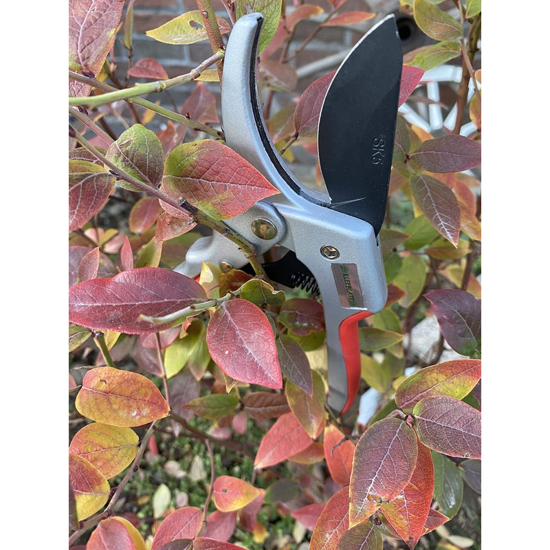 Kleeblatt GbR - Secateurs up to 60% energy saving pruning