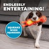Outward Hound Latex-Free Big Squeak Hedgehog Dog Toy