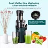 SOVIDER Juicer Machines Fruit Veg Squeezer Slow Masticating Brush Pulp