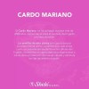 Extracto Cardo Mariano Sheló Nabel Sabor Amargo