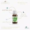 Arbora Kit Aromaterapia Lavanda + Tea Tree 100%puros Y Certificados