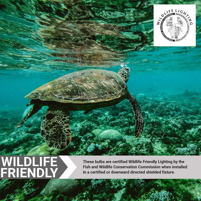 Sunlite 80003-SU LED PAR20 Colored Wildlife Friendly Light Bulb, 2