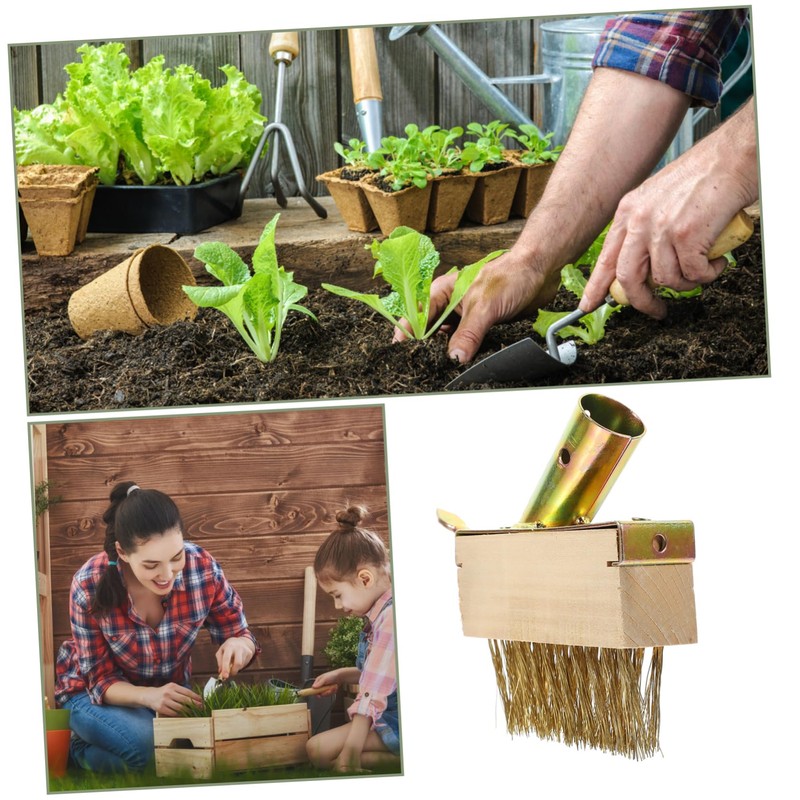 BESTonZON 2pcs Wire Grass Weeding Tool Moss Removal Brush Weeding