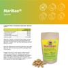 Leber Kur 360 Kapseln mit Mariendistel-Extrakt hochdosiert, Triphala und Bacillus