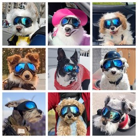 NAMSAN Dog Goggles Small Breed, UV-Protection Doggie Sunglasses for Small to Medium Dogs, Soft Doggy Eye Protection, Anti-Fog Anti-Dust Windproof Snowproof, Adjustable Straps, Blue Lens