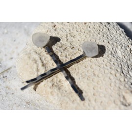 Genuine Surf Tumbled Frosted White Sea Glass Hair Pins (Set of 2)