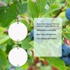 EACILLES Keep Birds Away Mirror Disc, Hanging Reflectors to Scare