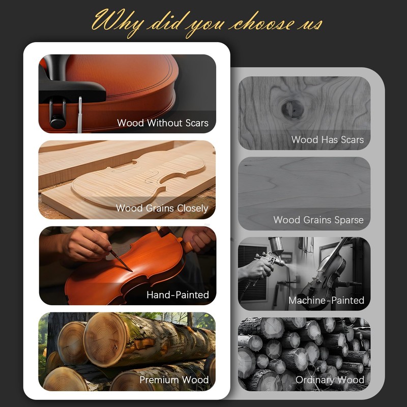 4/4 Full Size Beginner Violin, Acoustic Fiddle Set for Adults,