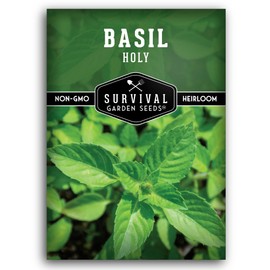 Holy Basil Seed for Planting - Indian Sacred Herb Tulsi Seeds to Grow in Your Home Vegetable Garden - Non-GMO Heirloom Variety - Survival Garden Seeds (1 Pack)
