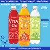 Vita Ice Variety Pack, 12 Pack, 17 oz. Bottles