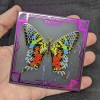 Anima Madagascan Sunset Moth Enamel Pin - Butterfly/Inse