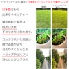 Eight Tokyo Polarized Sunglasses, Drive, Blue Light Cut Glasses, Golf,