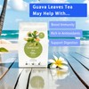 Samcci - Guava Leaves Tea Bags, 50 Teabags - Hojas