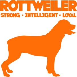 CafePress Rottweiler Throw Blanket Super Soft Fleece Plush Throw Blanket, 60"x50"