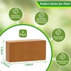 Riare 6pcs Organic Coco Coir Bricks Soil Blocks- 100% Natural