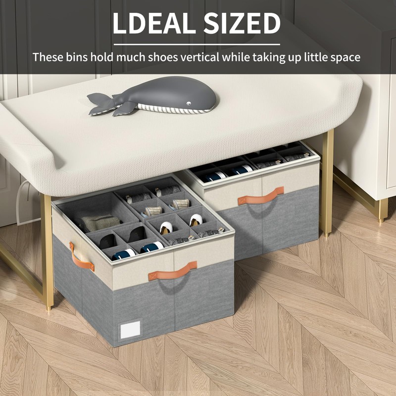 Aokeyee Shoe Organizer for Closet,2 Pack Foldable Shoe Storage Organizer