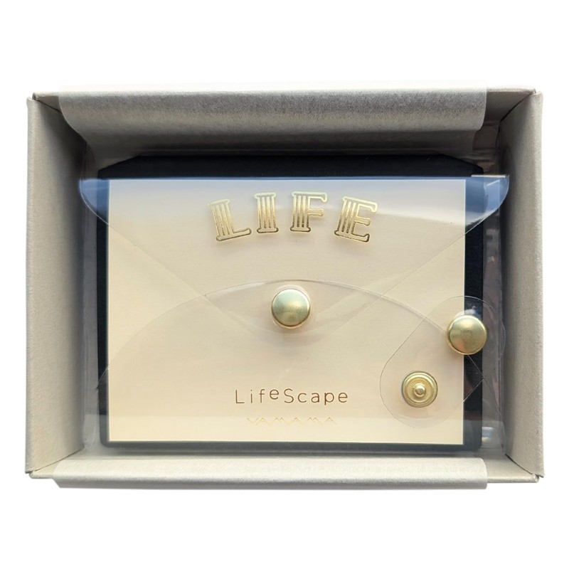 Life Sticky Notes, Blank Lifescape, Clear with Clear Cover, YL17