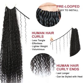 Crochet Boho Box Braids With Human Hair Pre Looped Hair Goddess Box Braids With Human Hair Curly Full Ends Hair Extensions For Women Natural Black Color 24inch 2 Pack(80 Strands)