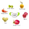 ANSIEDIO Apple Slicer Corer Fruit Cutter, Stainless Steel Slicer for
