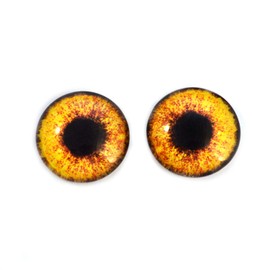 Hen Harrier Bird Chicken Glass Eyes Realistic Bird Animal Pair for Art Doll Parts, Sculpture, Prop, Mask, Fursuit, Jewelry Making Cabochons, Foul Taxidermy Supplies, and More (8mm)