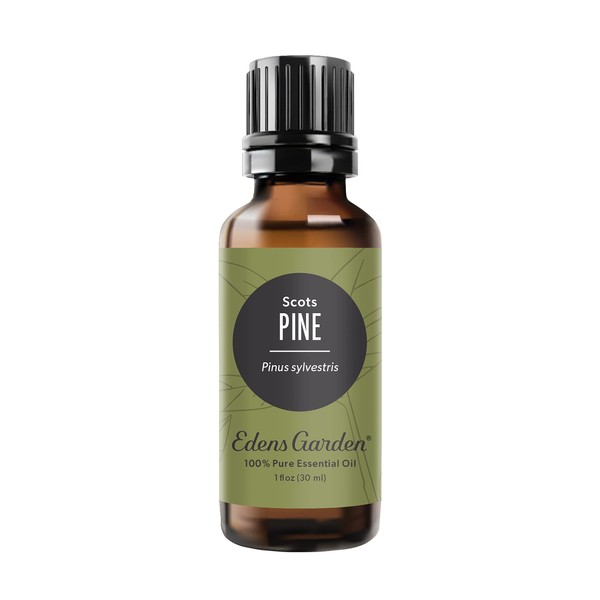 Edens Garden Pine- Scots Essential Oil, 100% Pure Therapeutic Grade (Undiluted Natural/Homeopathic Aromatherapy Scented Essential Oil Singles) 30 ml